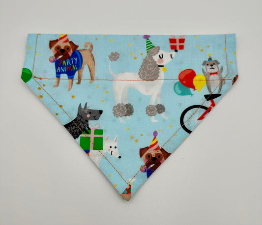 Birthday Party Over the Collar Slip On Dog Scarf