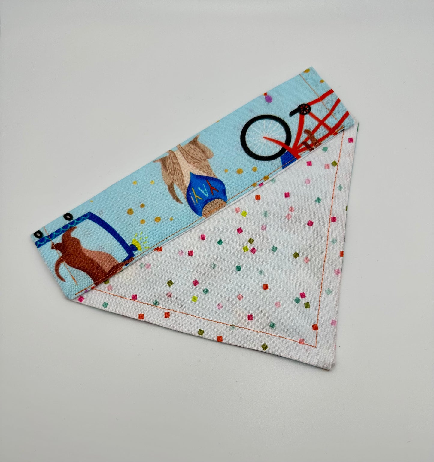 Birthday Party Over the Collar Slip On Dog Scarf
